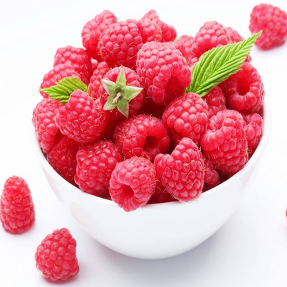 Everbearing Raspberry Organic Natural Seeds