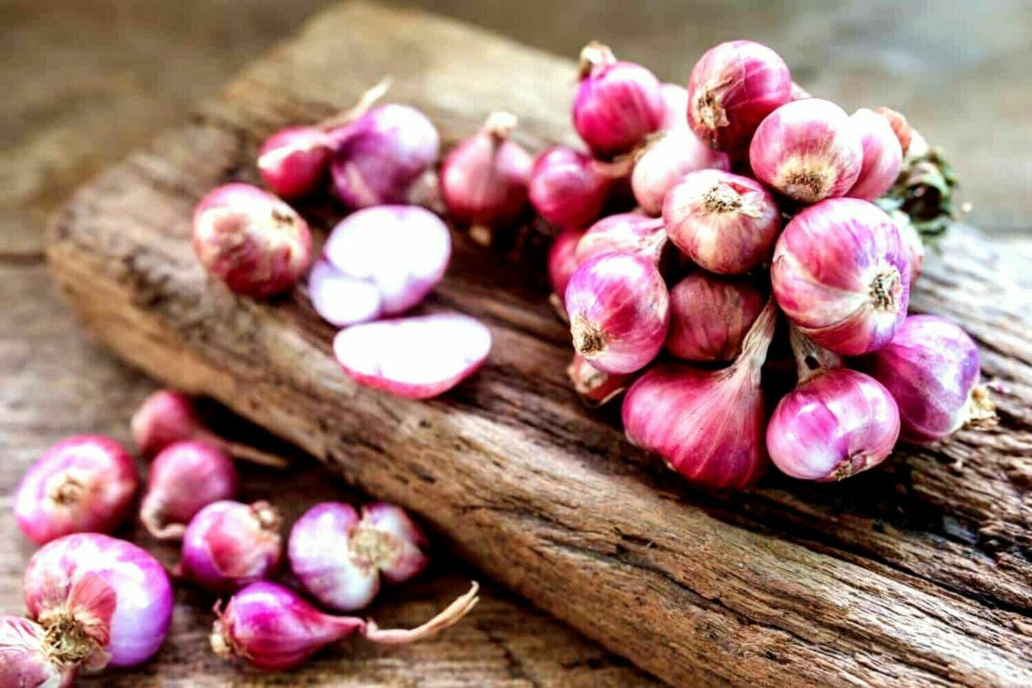 Asian red shallot Hanh Huong onion bulbs - US SEEDS BANK