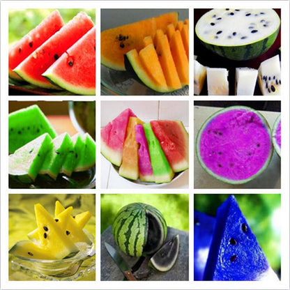 Colorful Watermelon Fruit Seeds
