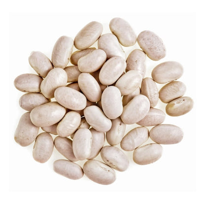 Great northern Bean, Lima beans, Butter Beans, Large white bean - US SEEDS BANK