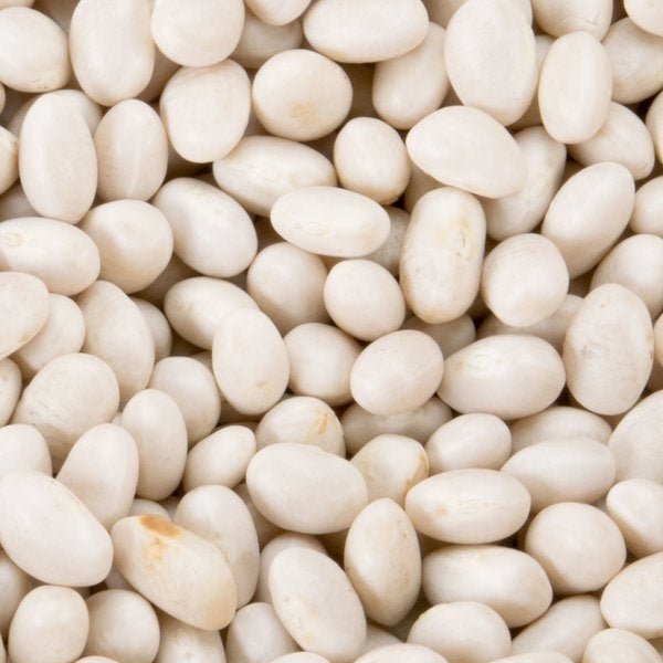 Great northern Bean, Lima beans, Butter Beans, Large white bean - US SEEDS BANK