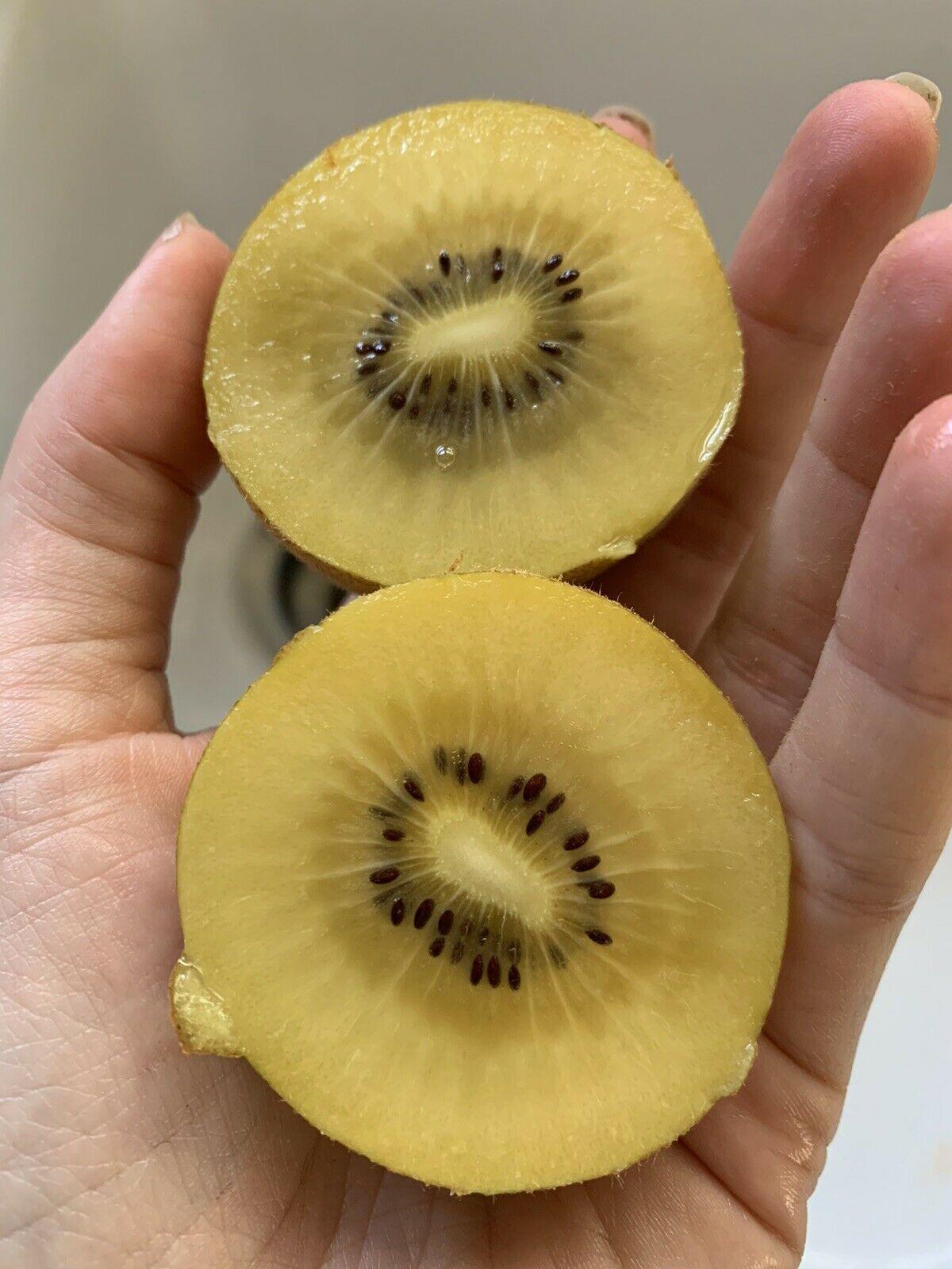 50 Golden Kiwi Fruit Seeds