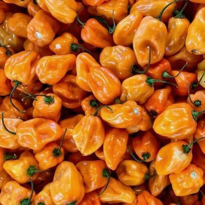 50 Habanero Orange Hot Peppers Seeds