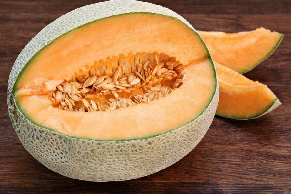 50 Hales Best Jumbo Melon Seeds