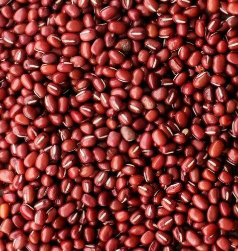 50 Red Mung Beans Seeds