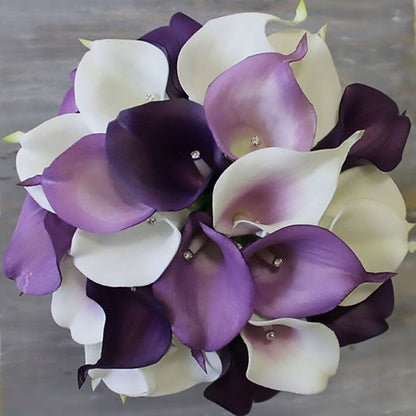 Calla Lily Bulbs - Bridal Bouquet