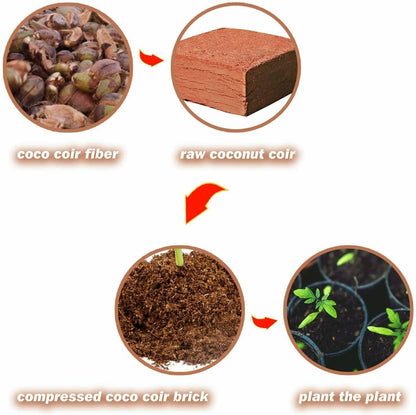 Organic Coco Coir Bricks
