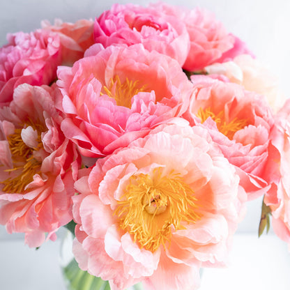 Peony Roots - Bridal Bouquet