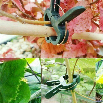 Reusable Large Plant & Garden Clips Support Tomato Vegetable Trellis Twine Ties