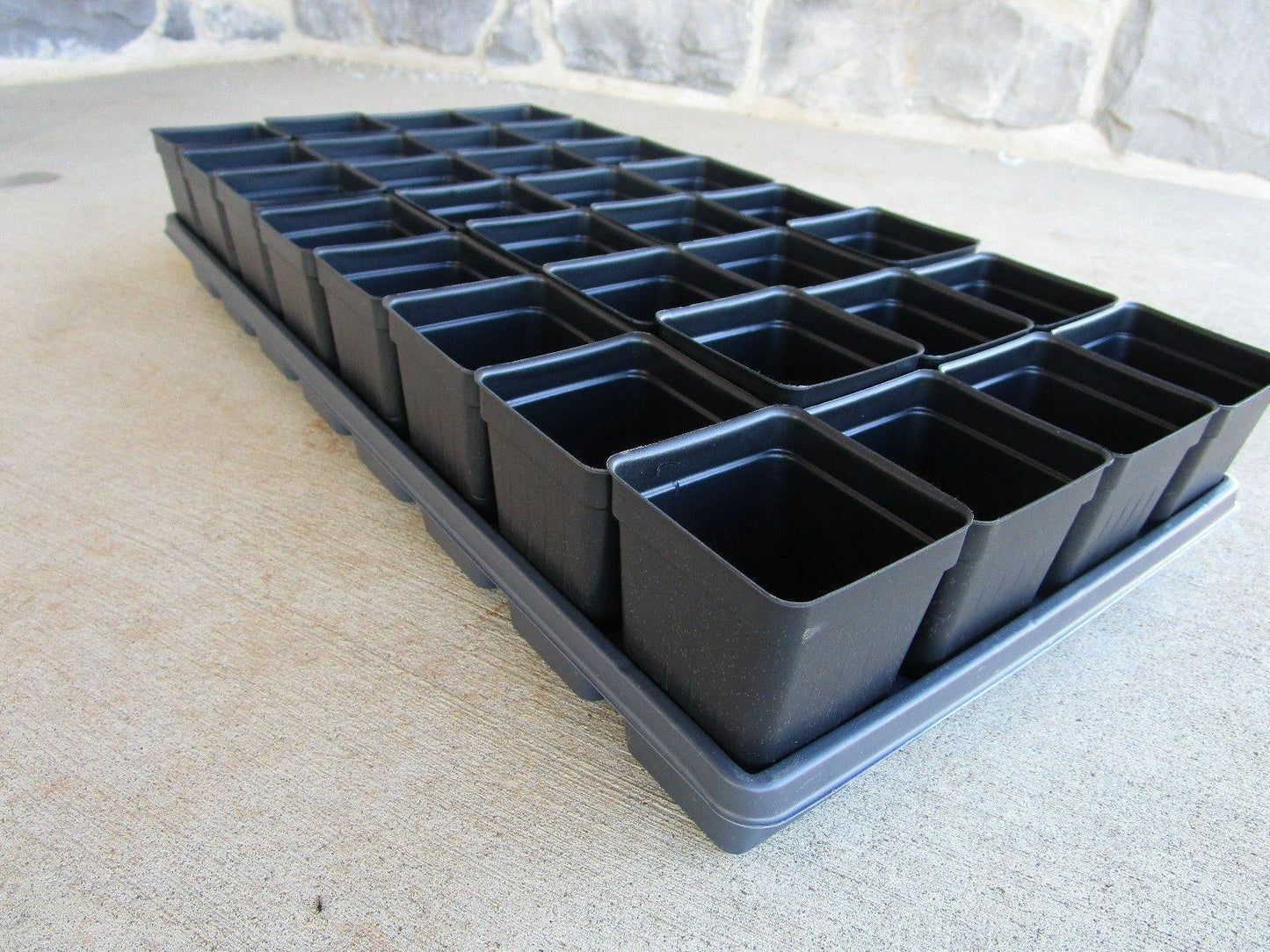 Set of 3 Divided Trays and 96 - 2.5 Inch Square Deep Nursery Pots