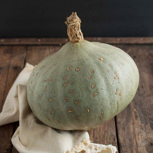 Squash (Winter) Seeds - Sweet Meat